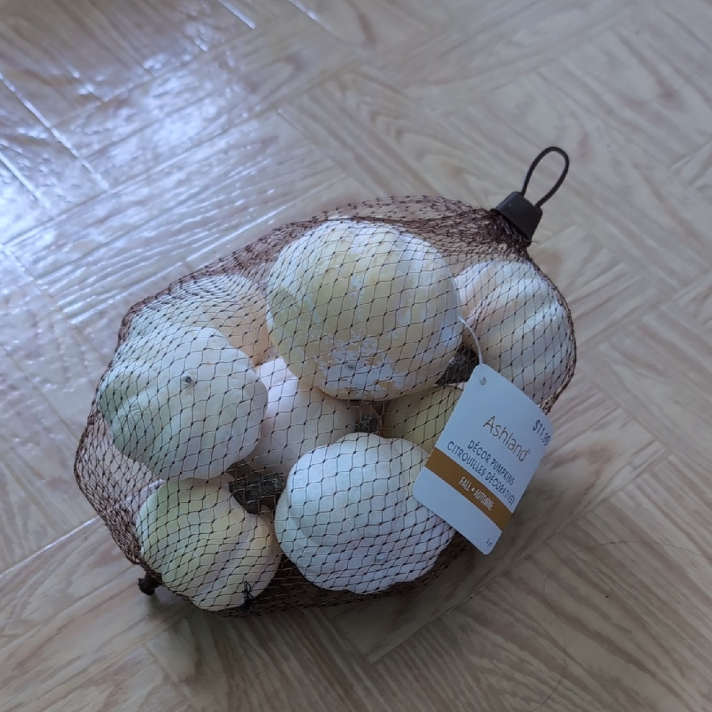 Ashland Pumpkin Fall Decor